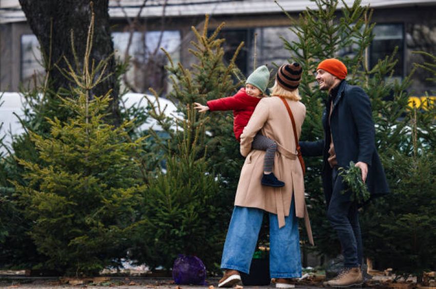 Kerstbomen Zonder Verlichting